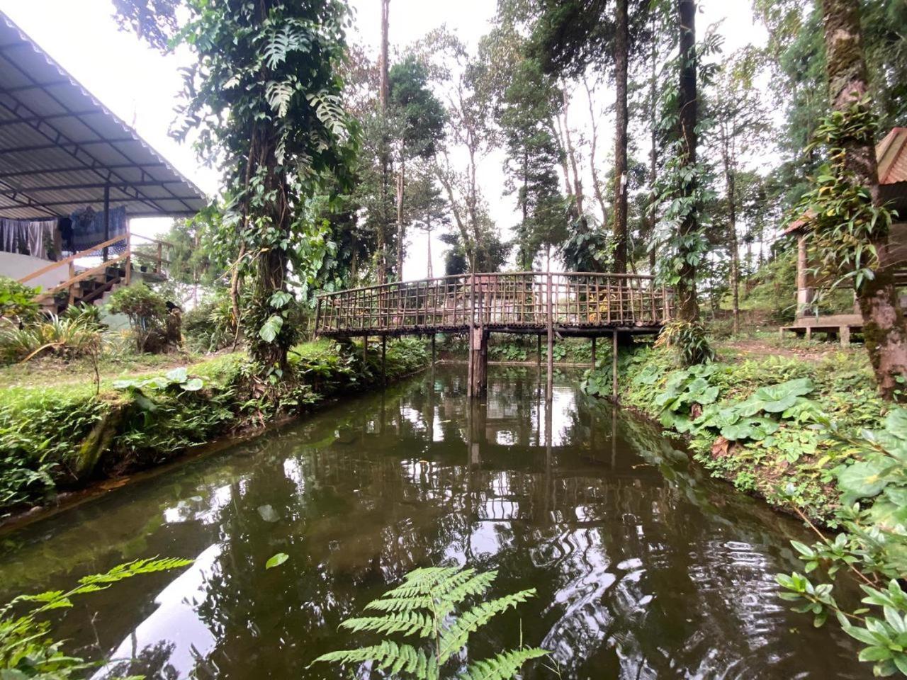 Magnolia Farmhouse And Homestay Darjeeling  Esterno foto