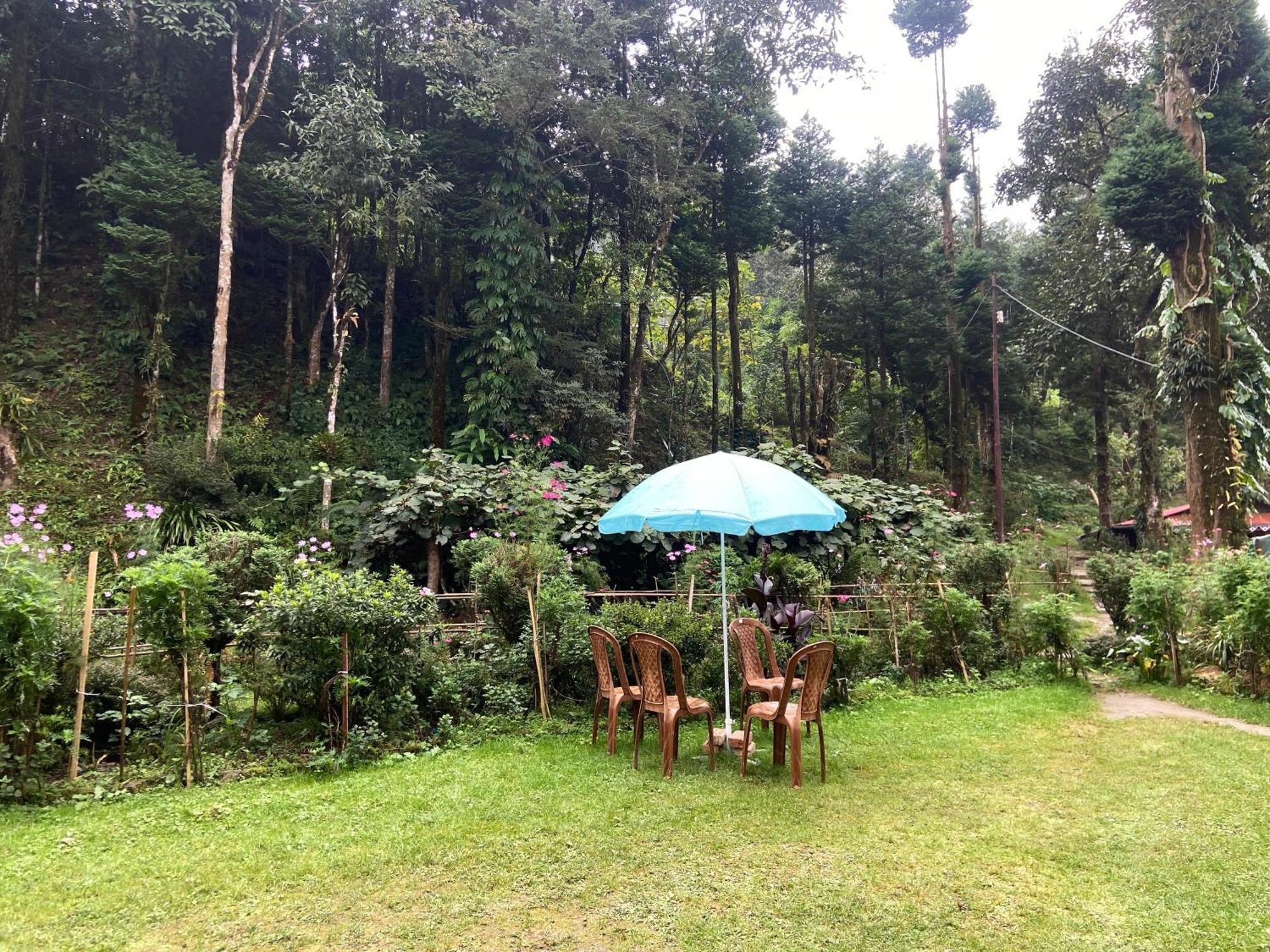 Magnolia Farmhouse And Homestay Darjeeling  Esterno foto